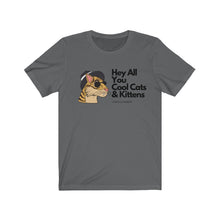 Load image into Gallery viewer, Cool Cats &amp; Kittens -  Kid Friendly -Unisex Jersey Short Sleeve Tee
